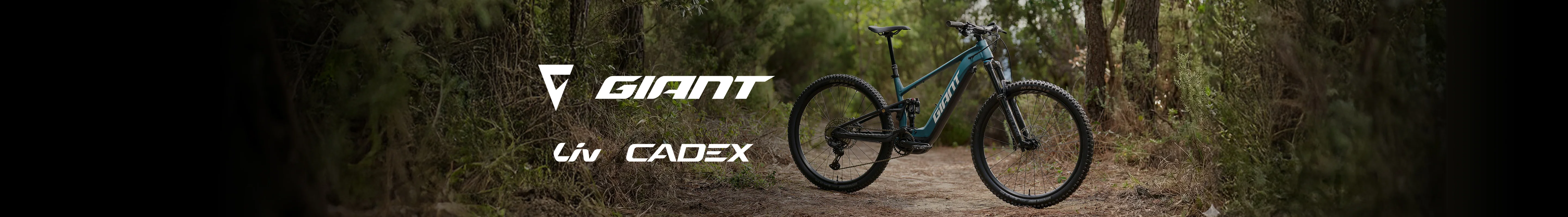 Ride Without Limits in Scotland